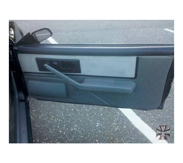 passenger door panel perfect