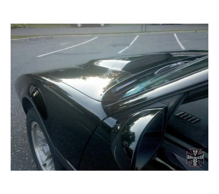 Driver side perfect no dings/rust/dents